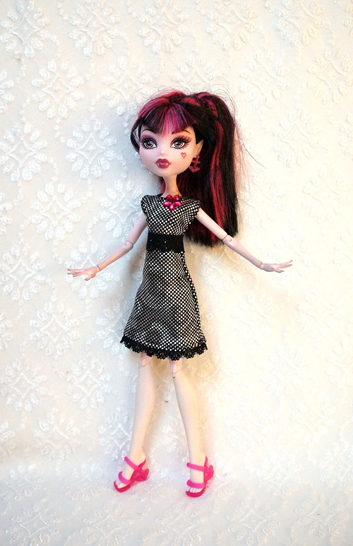 Šaty pro MH / Ever After High — foto 1