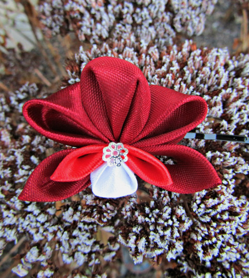 Červená orchidej — foto 1