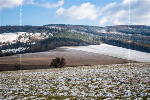 Zimní krajina