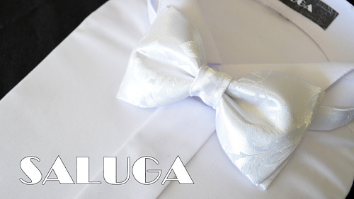 Luxusní bílý svatební pánský motýlek
