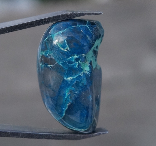 Chryzokol D7476 — foto 1