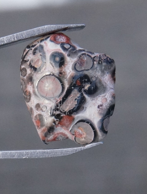 Jaspis leopardí D7483 — foto 1