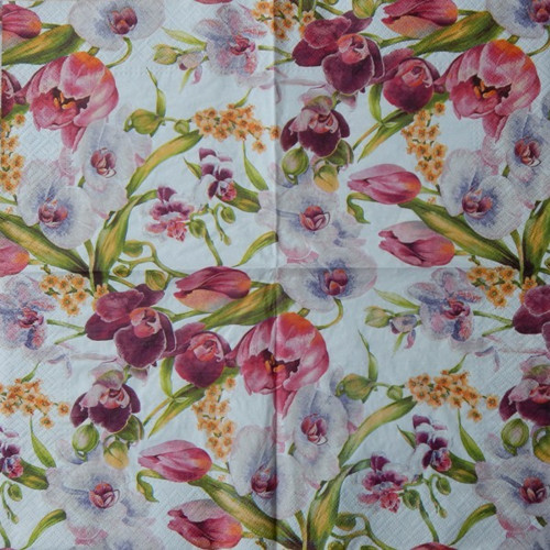 Tulipány a orchideje 650 — foto 1