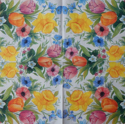 Narcisky a tulipány 651