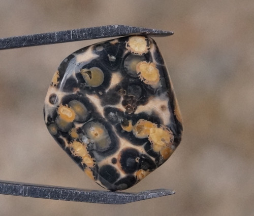 Jaspis leopardí D7700 — foto 1