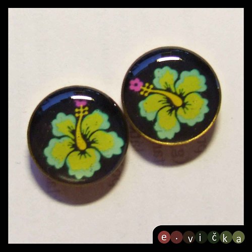 Orchidea — foto 1