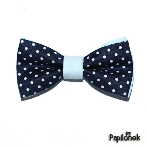 Pánský motýlek - Papilónek noční — foto 1
