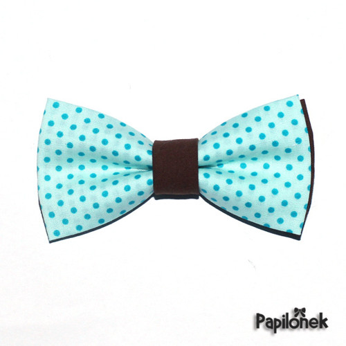 Pánský motýlek - Papilónek tyrkysák — foto 1