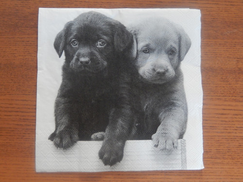 Ubrousek na decoupage - černobílí pejsánci