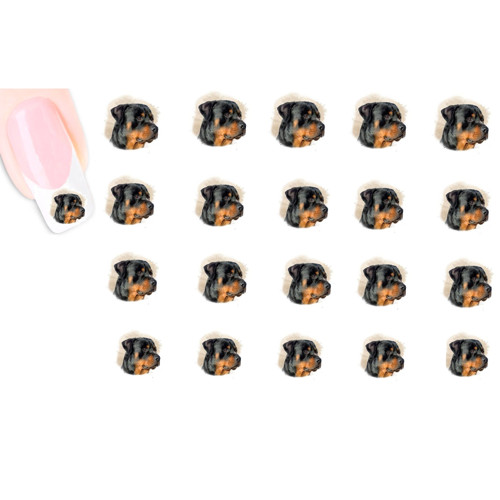 Rotvajler Rottweiler Obtisky Na Nehty