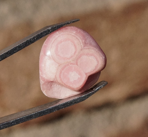 Rodochrozit (17 mm) - D7829 — foto 1