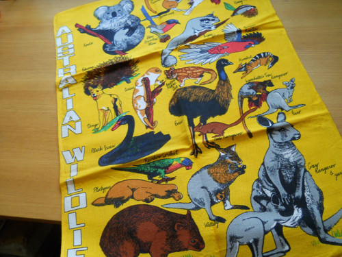 Australská fauna...utěrka — foto 1