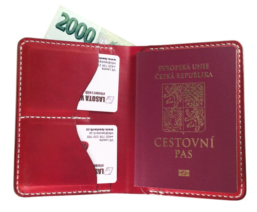 Cestovní kožené pouzdro na doklady v003