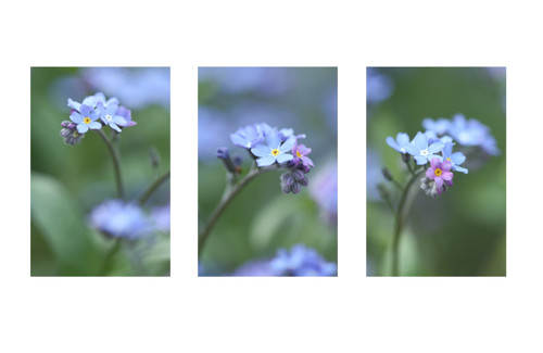 Fotografie na přání — foto 1