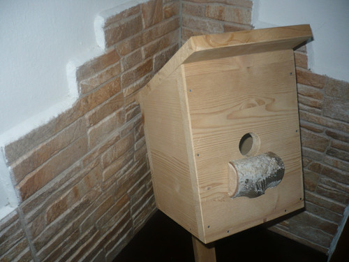 Ptačí budka — foto 1