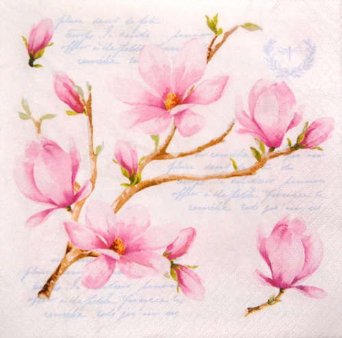 Magnolie