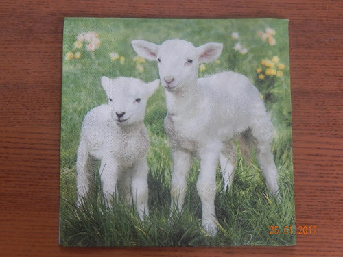 Ubrousek na decoupage - ovečky v trávě