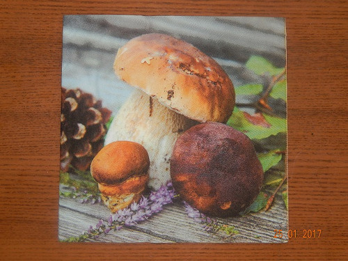 Ubrousek na decoupage - houby foto