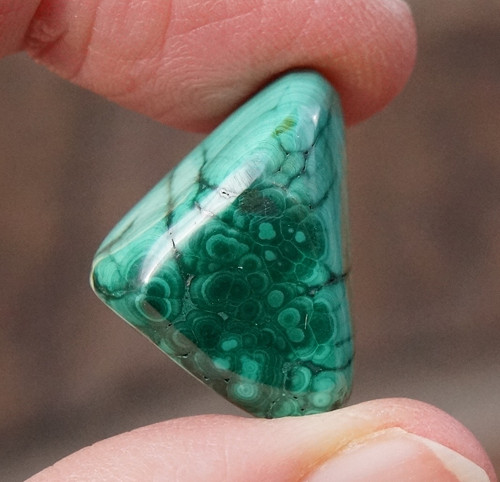 Malachit (24mm) - D7951 — foto 1