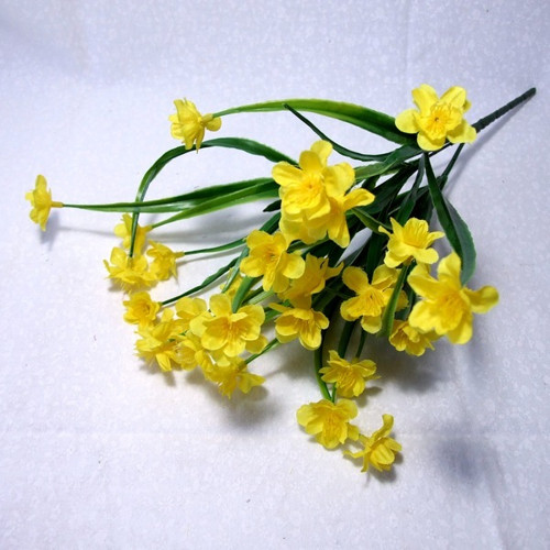 Narcisky v trsu — foto 1