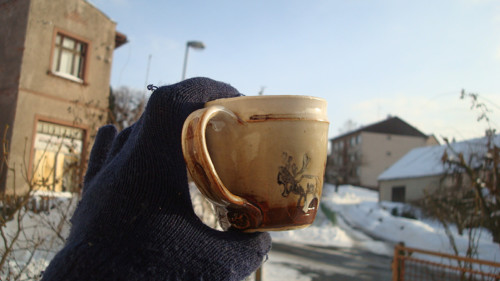 Hnědý jelen — foto 1