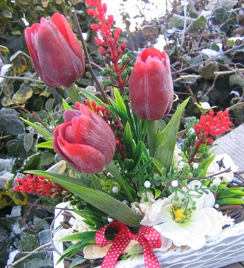 Červené tulipány — foto 1