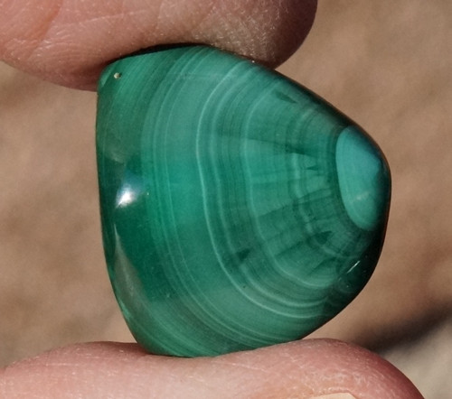 Malachit (19 mm) - D8076 — foto 1