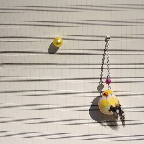 Oiseau et coco - ptáček tlusťoch — foto 1