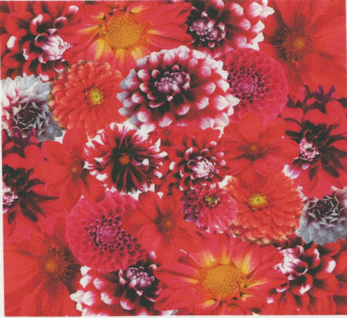 Bavlněná látka - panel 13,5 x 17 cm — foto 1