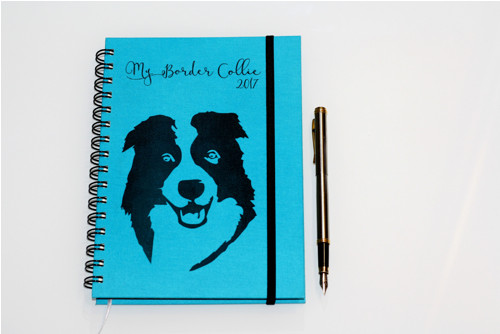 Diář 2027 My Border Collie — foto 1