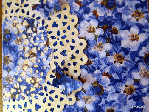 Forget-me-not — foto 1