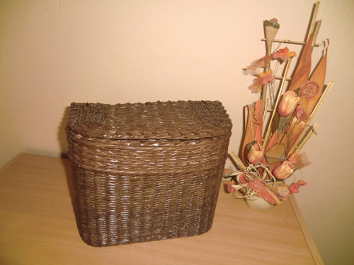 Box s víkem — foto 1