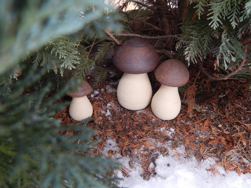 Hříbek 10 cm