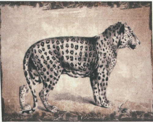 Bavlněná látka - panel 13,5 x 17 cm — foto 1