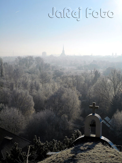 Plzeň z botanky