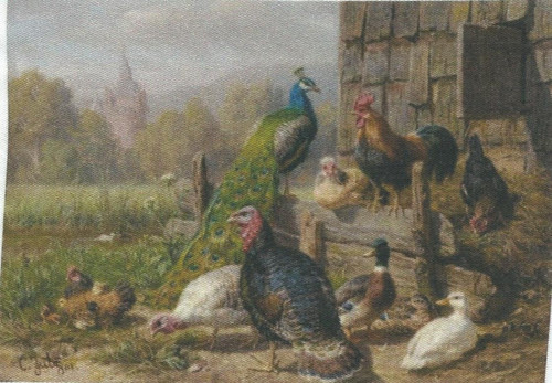 Bavlněná látka - panel 10 x 14 cm