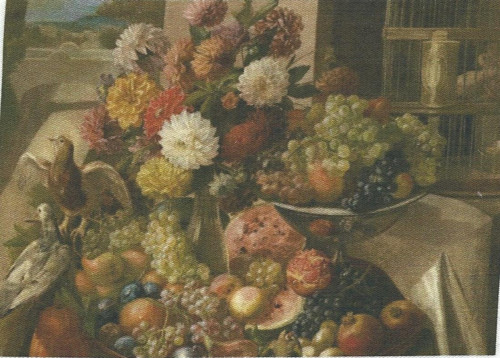 Bavlněná látka - panel 10 x 14 cm