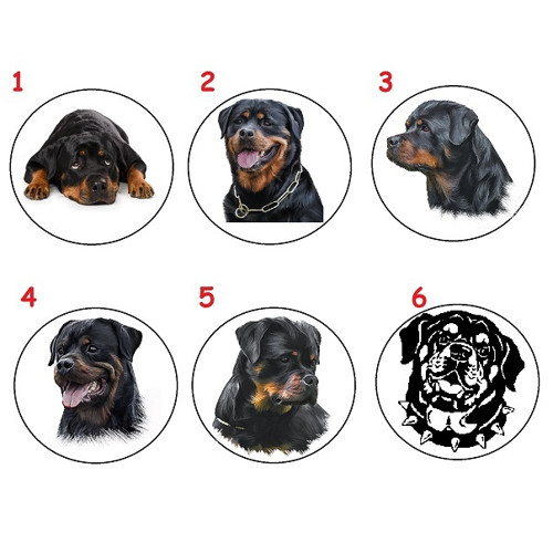 Rotvajler Rottweiler Mini Zrcátko Do Kabelky