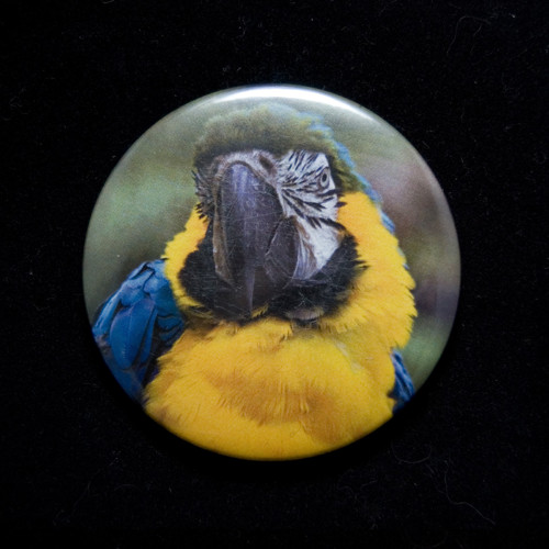 Magnet - papoušek (58 mm) — foto 1