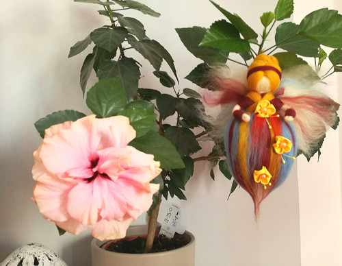 Nolme — foto 1