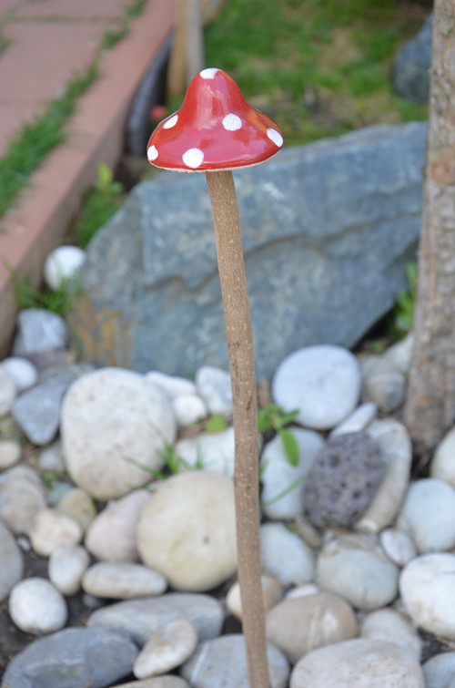 Už zase rostou! — foto 1