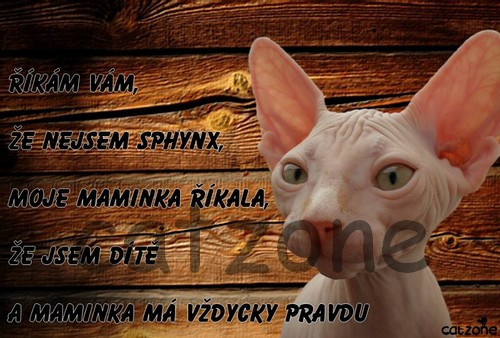 Cedulka na dveře - maminka — foto 1