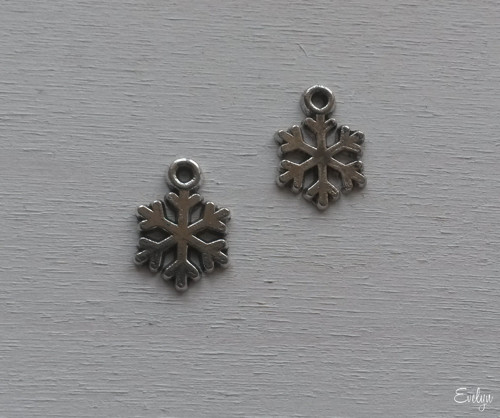 Vločka č.10