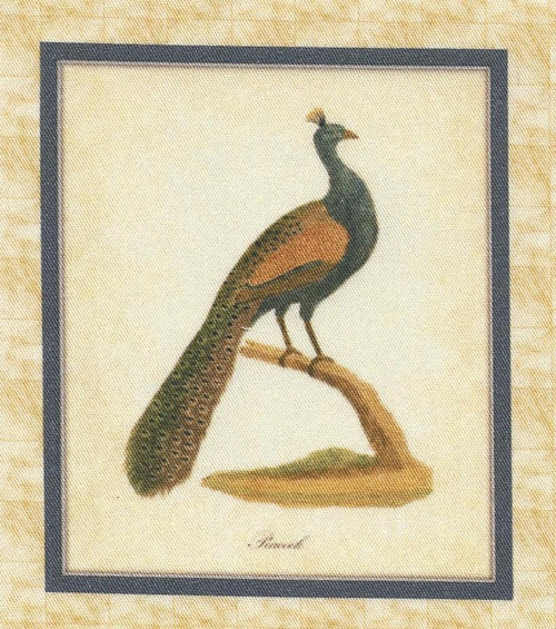 Bavlněná látka - panel 8,5 x 10 cm