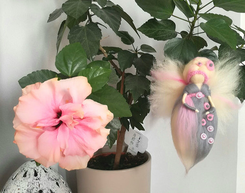 Nacilme — foto 1