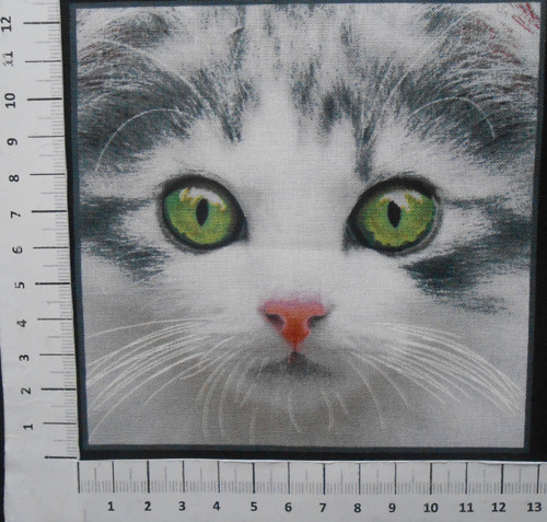 Kočičky — foto 1
