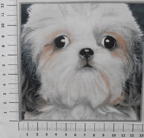 Pejsci — foto 1