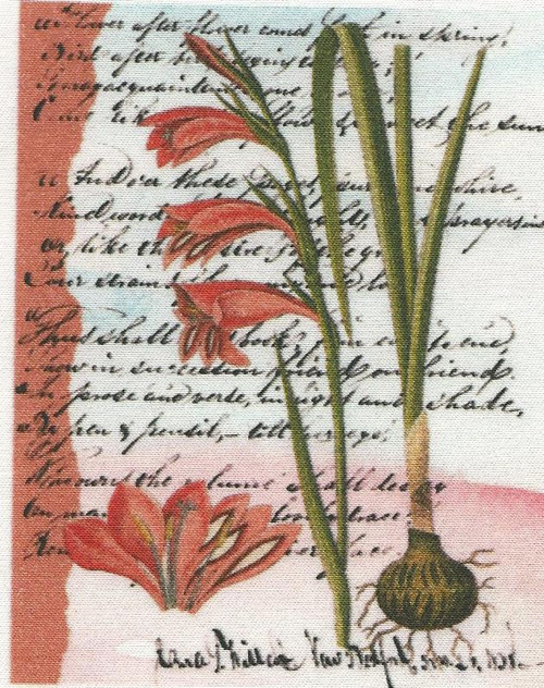 Bavlněná látka - panel 8 x 10 cm