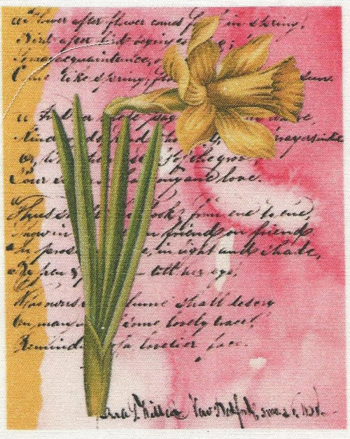 Bavlněná látka - panel 8 x 10 cm