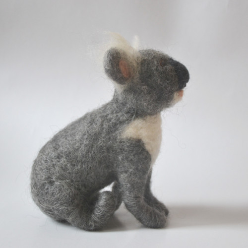 Koala — foto 1